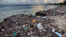 Oxo-degradable plastics have proven controversial for years